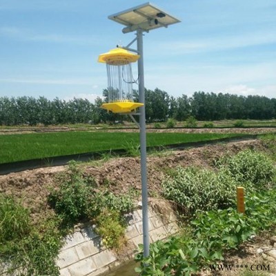 中煤 太陽能殺蟲燈  農業太陽能殺蟲燈 太陽能殺蟲燈價格  太陽能殺蟲燈