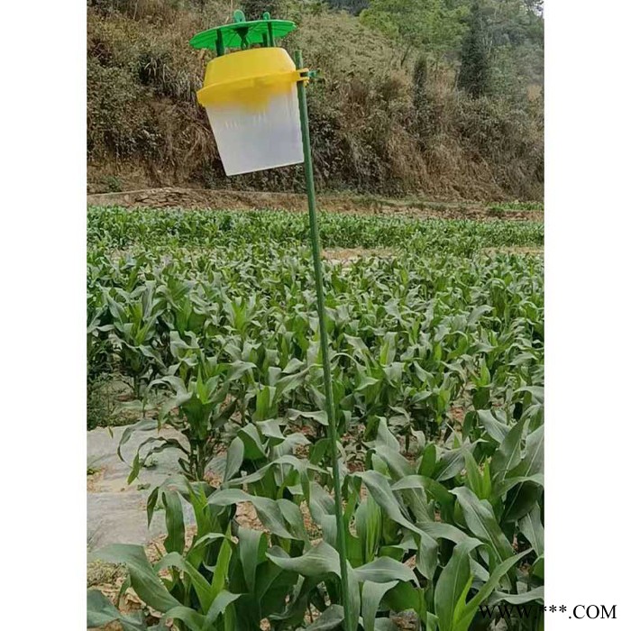 華科照明001 太陽(yáng)能殺蟲(chóng)燈燈頭 果園殺蟲(chóng)燈燈頭 風(fēng)吸式殺蟲(chóng)燈 殺蟲(chóng)燈