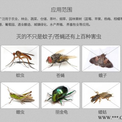 尚科廠家直供 果園殺蟲燈 太陽能果園高效殺蟲燈誘蟲燈價(jià)格