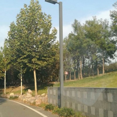 大妙光供應專業的路燈 led路燈 云南太陽能路燈 疝氣路燈生產廠家 8米路燈