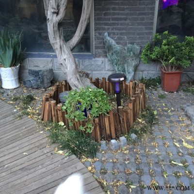 尚科 花園庭院滅蚊燈 戶(hù)外太陽(yáng)能誘蚊滅蚊器 庭院小區(qū)草坪景觀燈氛圍燈N1