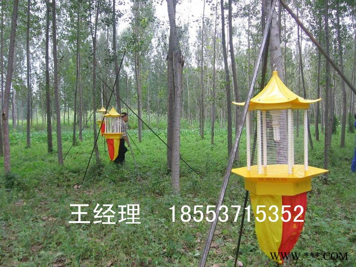 山東唯信 太陽能殺蟲燈 昆蟲的克星 無處可逃  太陽能殺蟲燈 殺蟲必選神器