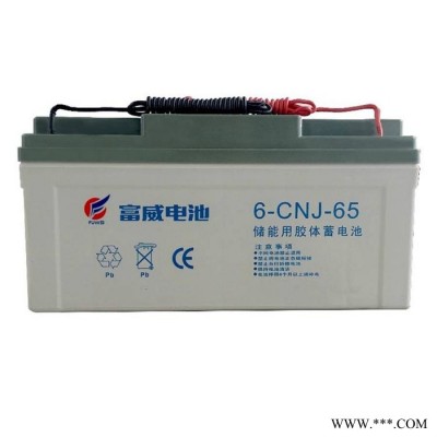 富威蓄電池6-CNJ-38 儲(chǔ)能用膠體電池12V38AH交通信號(hào)燈 太陽(yáng)能路燈用