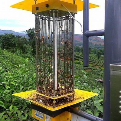 供應SL-D1320/D高效農業殺蟲燈、太陽能誘蟲燈