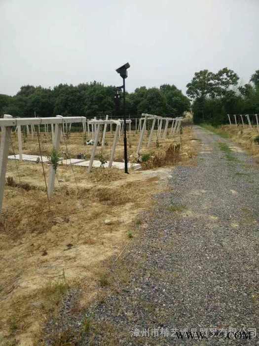 太陽能殺蟲燈
