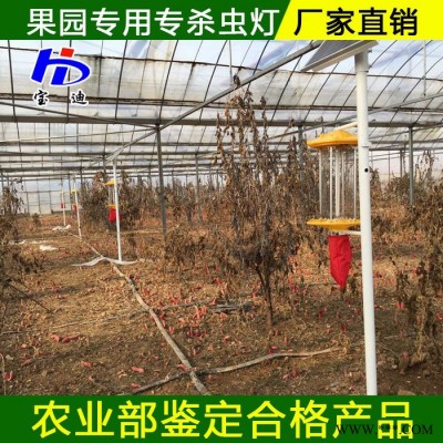 寶迪BD-01 果園殺蟲燈生產廠家 太陽能殺蟲燈廠家批發 頻振式殺蟲燈廠家定制