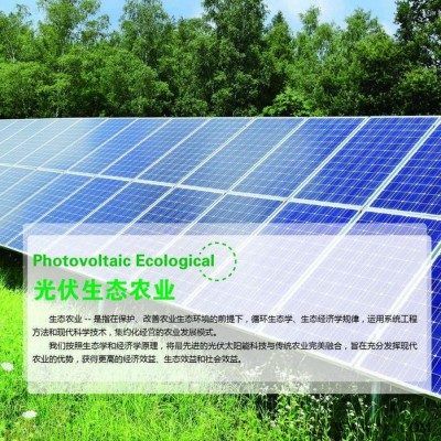 太陽能滅蚊燈xc-8501