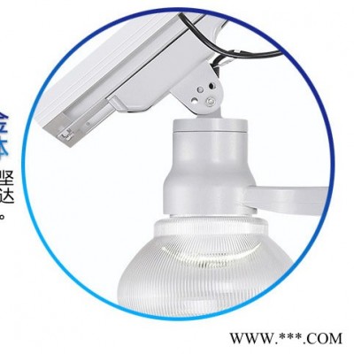 led太陽(yáng)能路燈廠家 供應(yīng)景區(qū)駕校專(zhuān)用led路燈 鋰電池太陽(yáng)能路燈市場(chǎng)趨勢(shì)