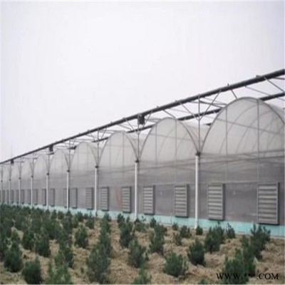 建設(shè)新型光伏大棚 江蘇連棟溫室大棚承接 旭航