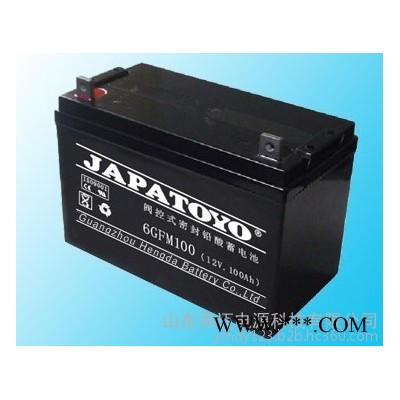 TOYO蓄電池6FM24東洋免維護(hù)蓄電池12V24AH UPS不間斷電源專用 TOYO蓄電池報(bào)價(jià)/參數(shù) 太陽能蓄電池