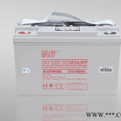 BLSF保利時蓄電池6-GFM38寶利時12V38AH閥控密封鉛酸蓄電池保利時機房ups免維護蓄電池太陽能電池