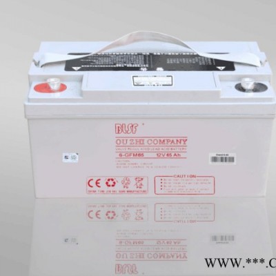BLSF保利時蓄電池6-GFM150寶利時12V150AH閥控密封鉛酸蓄電池保利時機房ups免維護蓄電池太陽能電池