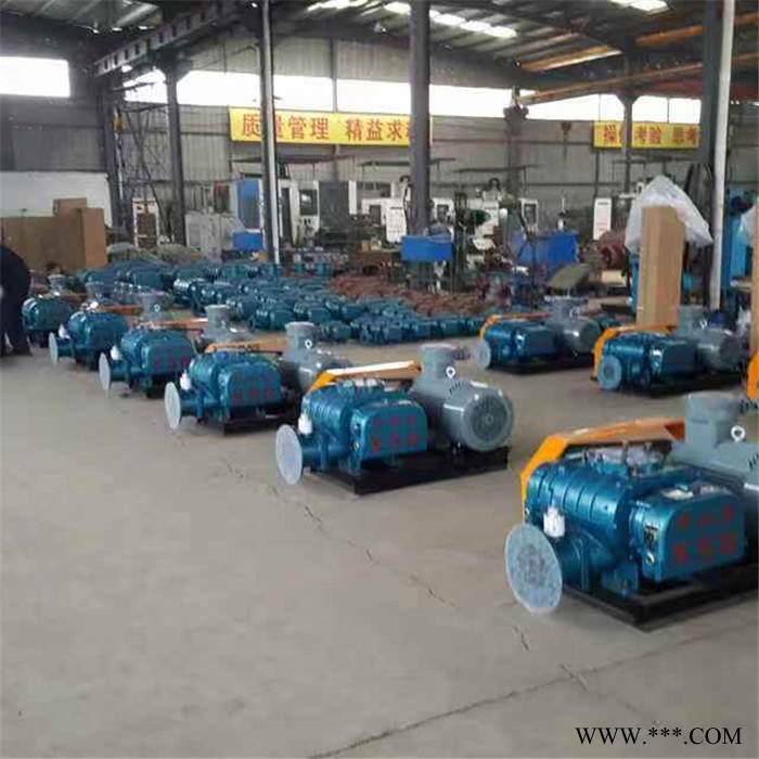 羅茨風(fēng)機(jī) 天然氣羅茨風(fēng)機(jī) 曝氣風(fēng)機(jī)設(shè)備