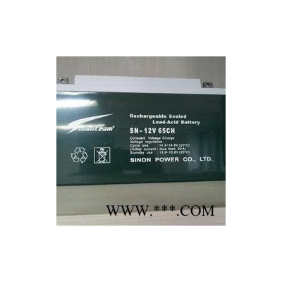 德國賽能蓄電池SN-12V100CH原裝賽能12V100AH直流屏UPS用質保三年