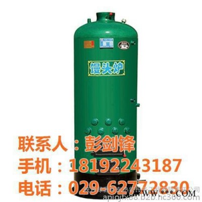 天然氣壁掛鍋爐_留壩壁掛鍋爐_西安綠源華東熱能設備