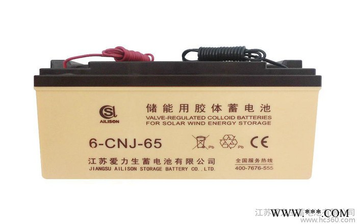 供應(yīng)6-CNJ-65AH蓄電池/江蘇蓄電池/蓄電池批發(fā)/膠體電池采購(gòu)/愛力生蓄電池/太陽(yáng)能蓄電池