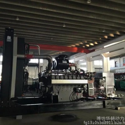 400千瓦大型養(yǎng)殖類發(fā)電設(shè)備 天然氣燃?xì)獍l(fā)電機(jī)組400kw 配集裝箱方便安全