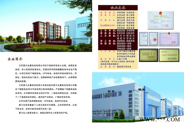 供應(yīng)愛力生6-CNJ太陽(yáng)能蓄電池、膠體蓄電池、儲(chǔ)能