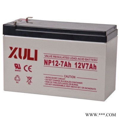 廣州蓄力12v100ah閥控式免維護(hù)密封鉛酸膠體深循環(huán)太陽(yáng)能后備電源蓄電池 廣州蓄力鉛酸蓄電池廠家