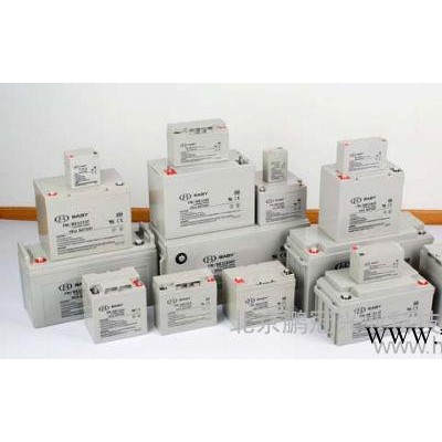 BABY蓄電池FM/BB1217 12V17AH后備儲(chǔ)能應(yīng)急蓄電池/原裝