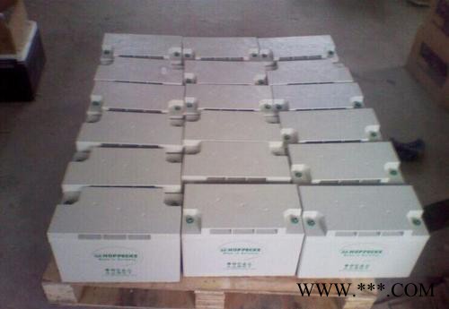 12V130AH德國松樹荷貝克蓄電池12Vpower.com SB130太陽能電瓶包郵