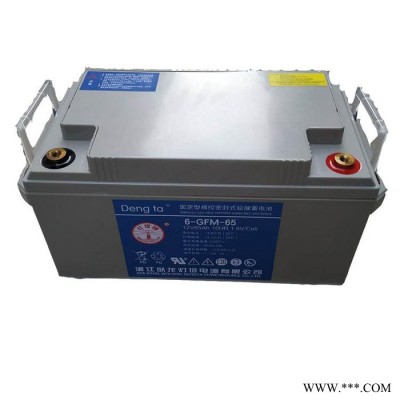 燈塔蓄電池6-GFM-33 12V33AH/UPS電源電池 EPS直流屏蓄電池 風(fēng)力發(fā)電蓄電池