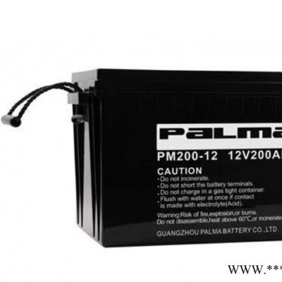 八馬PALMA蓄電池PM100-12/12V100AH 鉛酸免維護(hù)蓄電池 UPS/EPS不間斷電源 風(fēng)力發(fā)電儲備電源