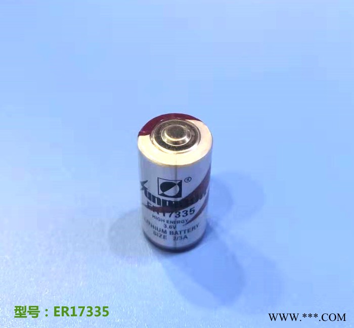 供應(yīng)ER17335 ER17335M 3.6V鋰亞電池