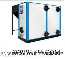 大連真實(shí)誠信DLZSCX-3 生物質(zhì)鍋爐