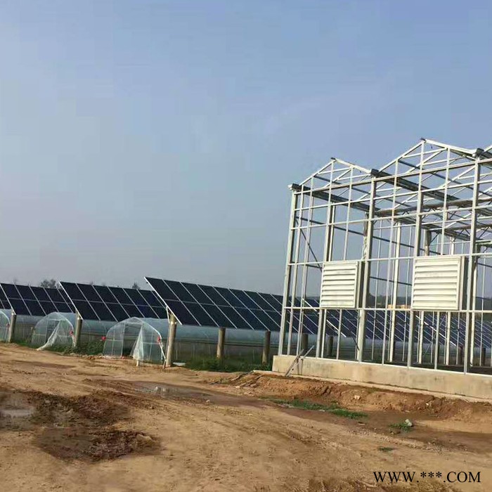 陽(yáng)光溫室 光伏大棚  玻璃光伏大棚