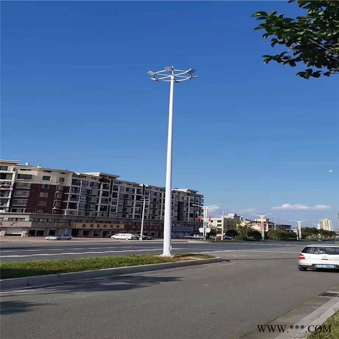 太陽(yáng)能路燈廠(chǎng)家 景觀(guān)燈 農(nóng)景觀(guān)燈廠(chǎng)家 鋰電池6米太陽(yáng)能路燈 太陽(yáng)能路燈