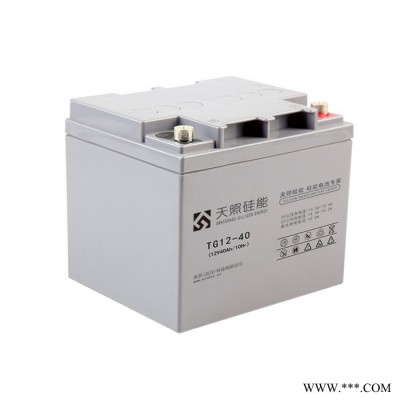 天照硅能蓄電池TG12-100醫(yī)療電信電力太陽能光伏UPS儲(chǔ)能直流屏專用電池 總經(jīng)銷商12V100AH