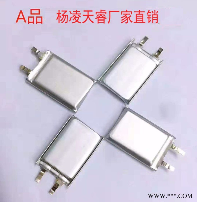 多種規格三元聚合物鋰電池