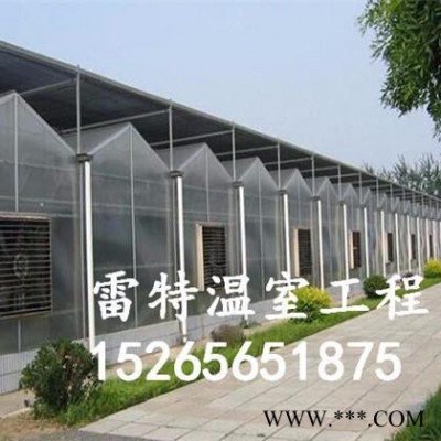 專業承接光伏大棚建設 光伏花卉溫室建設 結實耐用價格低