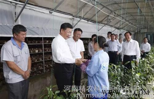 光伏大棚_大棚_太陽能發電大棚