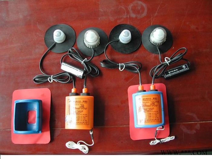 DFFD-96-B1救生筏燈 鋰電池救生筏燈