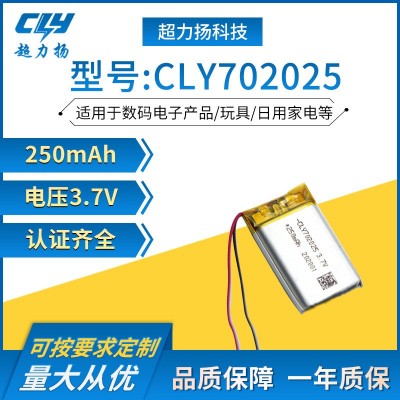 702025聚合物鋰電池250mAh鋰電池3.7V鋰電池 醫(yī)療電池 數(shù)碼鋰電池