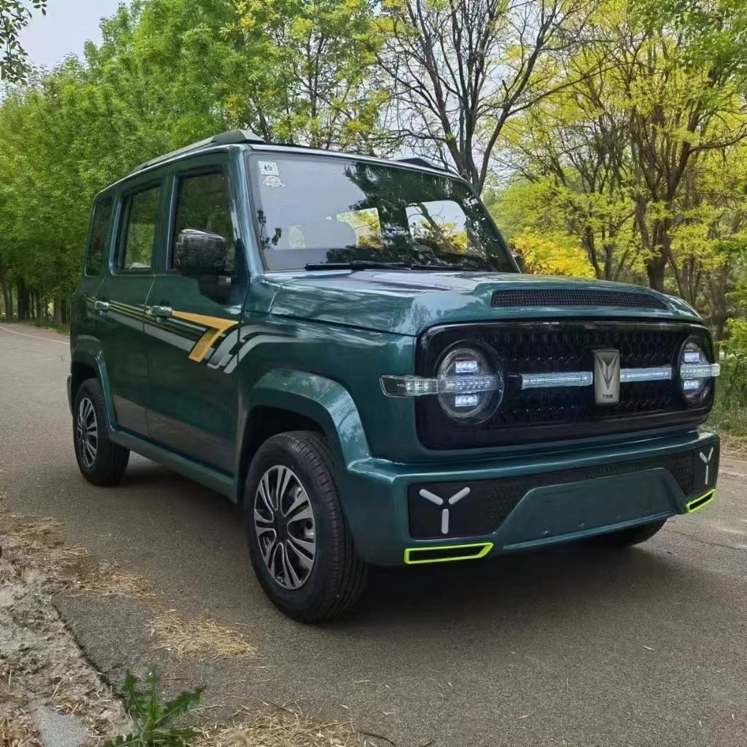 家用成人老年代步車新能源全封閉油電兩用轎車新款坦克電動四輪車