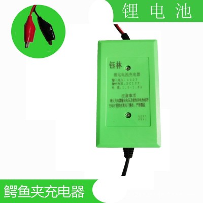12V鋰電充電器電瓶平衡車童車噴霧器鋰電池智能鱷魚(yú)夾充電器
