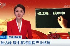 碳達峰、碳中和，將重新定義經濟版圖！