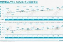 2025，新能源車企“血戰到底”