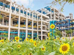 低碳轉型穩步推進 單位GDP能耗持續下降