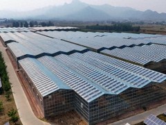 河北秦皇島:清潔能源裝機(jī)并網(wǎng)容量占比超57%